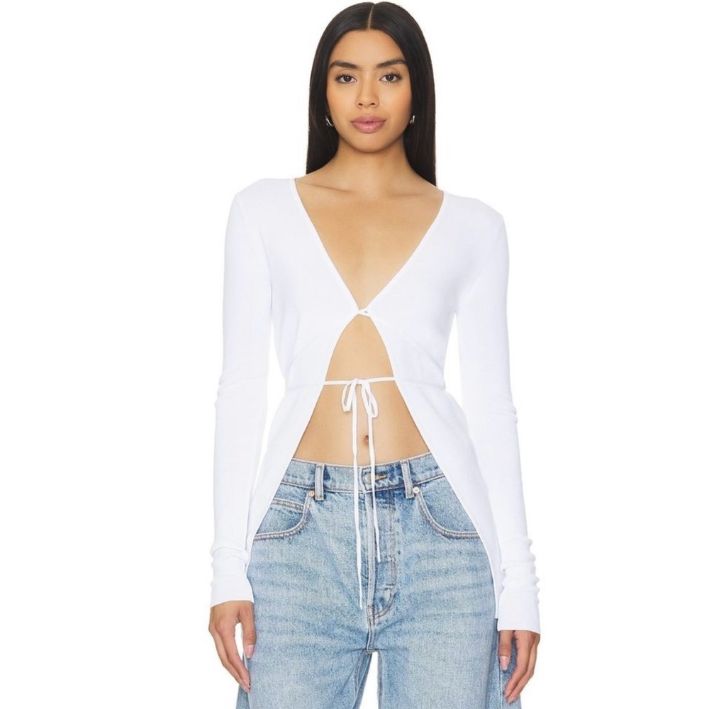 Lioness DNA Top